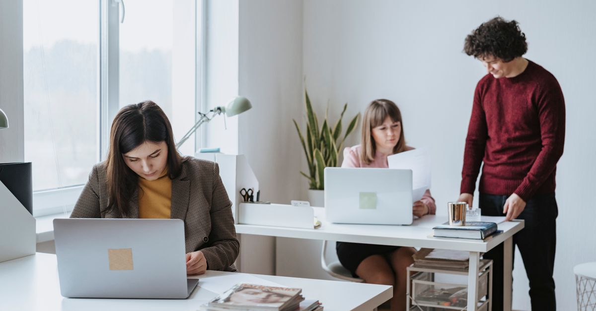 Group of colleagues working together in a bright, modern office space with laptops.