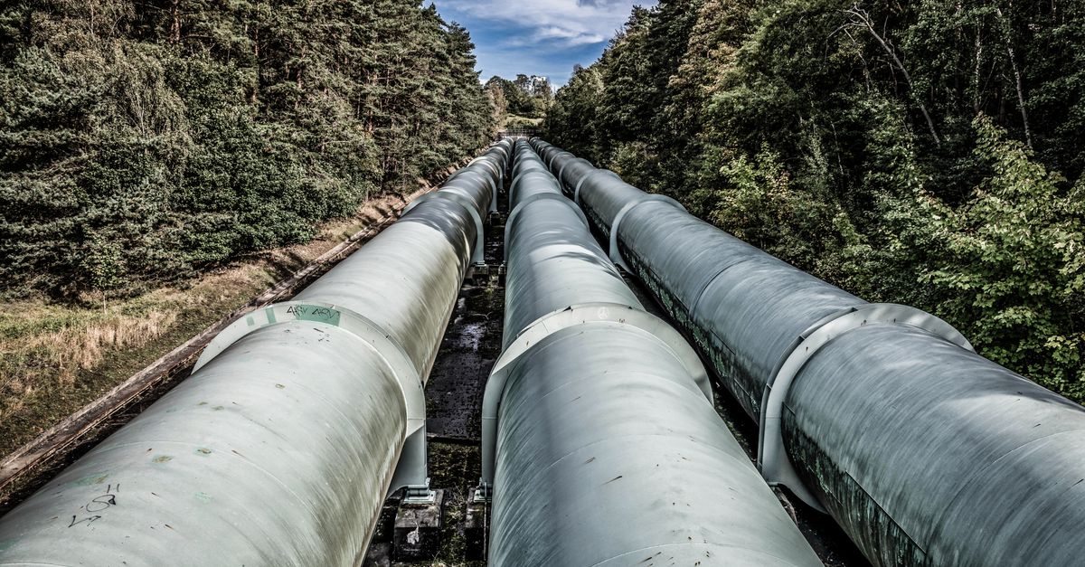 View of large industrial pipelines running through a lush forest landscape.